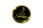 springbok casino springbok casino